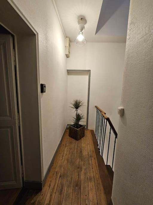 Appartement Cosy T3-hyper Centre-netflix